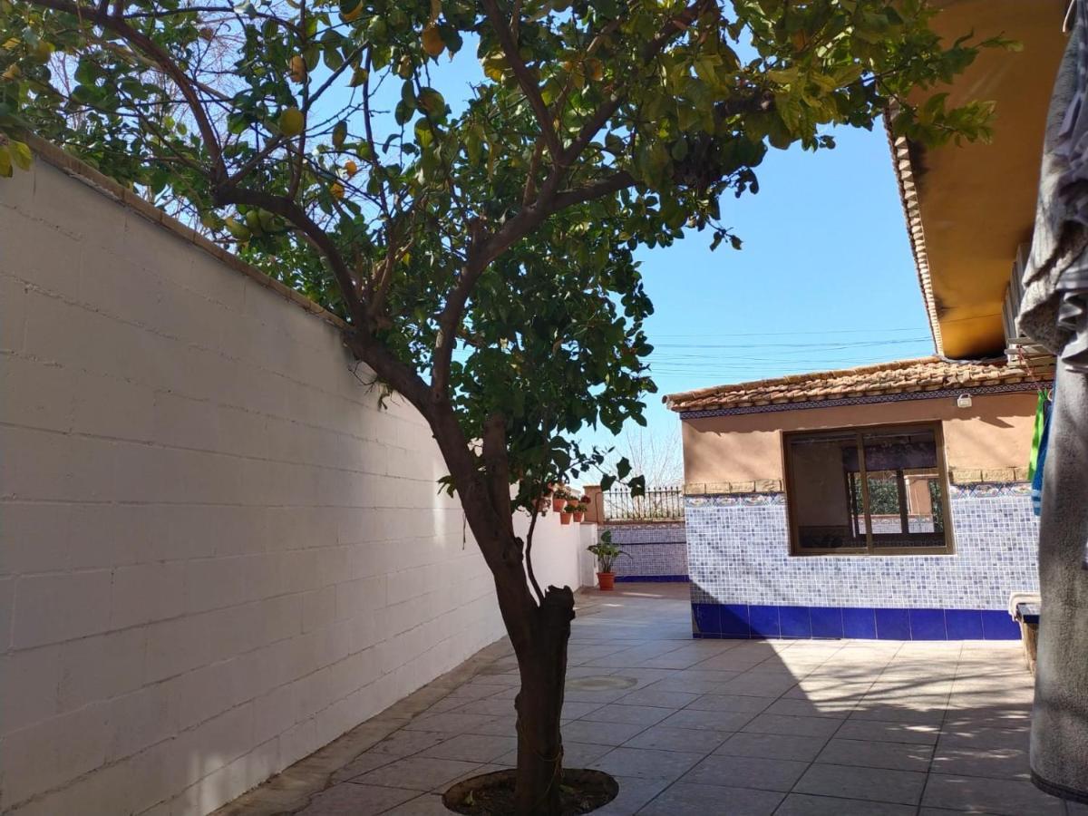 סביליה Casa Cortijo Olivar מראה חיצוני תמונה